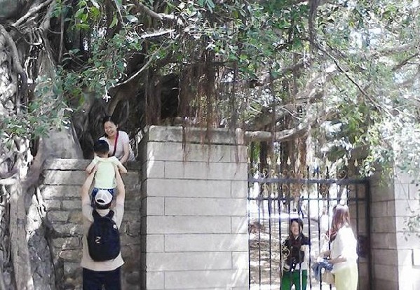 黃金周廈大對(duì)外開(kāi)放 部分奇葩游客仍翻墻進(jìn)校園