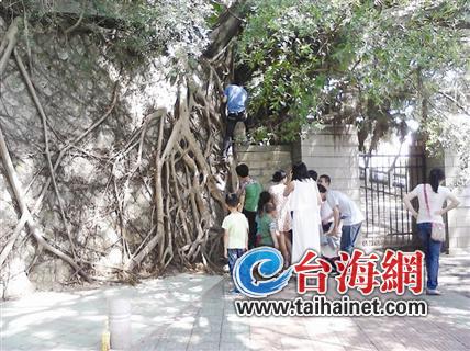 部分奇葩游客仍翻墻進(jìn)校園