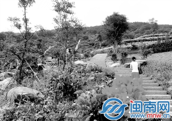 大屏山公園一角