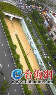 仙岳路高架區(qū)