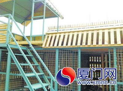 鴿房門(mén)被打開(kāi)，里面的鴿子都不見(jiàn)了