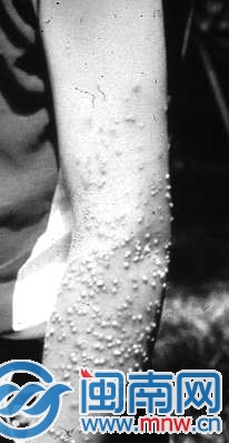 網(wǎng)絡(luò)資料圖