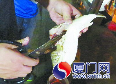 宰殺一條河豚魚(yú)不到兩分鐘