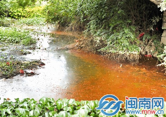 玉田渠水面，水浮蓮叢生，散發(fā)陣陣惡臭