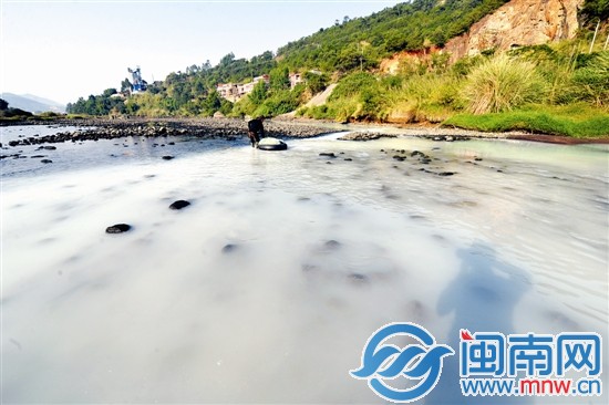 污水直排后，溪水呈乳白色