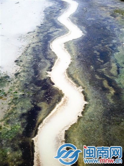 寬闊的河底只剩一股細(xì)流，水呈乳白色