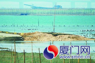 工人說新發(fā)現(xiàn)的疑似埋毒點就在中間那根竹子下面