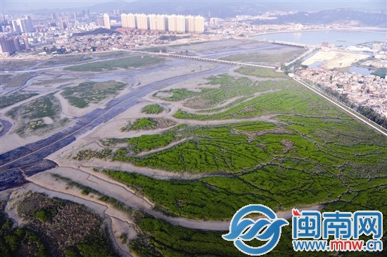 洛陽橋畔如今生態(tài)保護依然良好