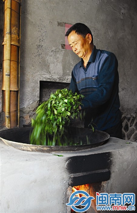 國家級非遺安溪鐵觀音制作技藝