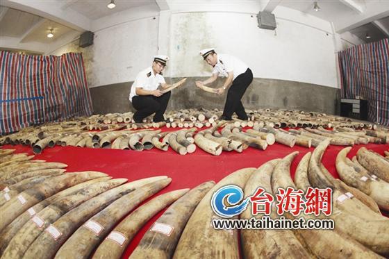 最大象牙走私案