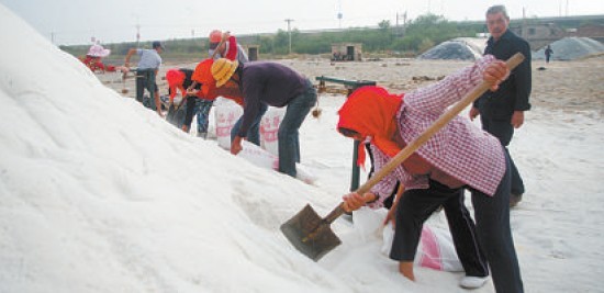 頭裹紅頭巾的女鹽工曾是鹽場(chǎng)的一道風(fēng)景