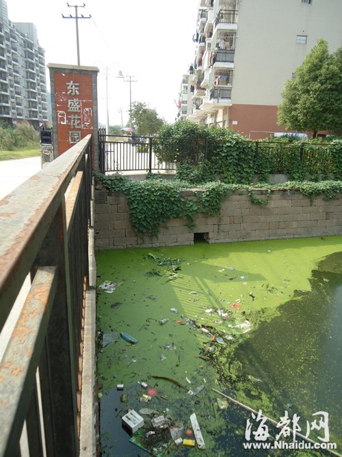 福州花整治內(nèi)河一條花2個(gè)億 景觀美但水質(zhì)依然差2