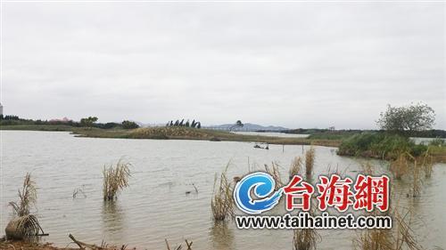 最美水鳥(niǎo)棲息地遭開(kāi)發(fā)商蠶食