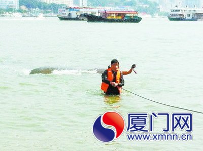 被困男子被護送回岸上