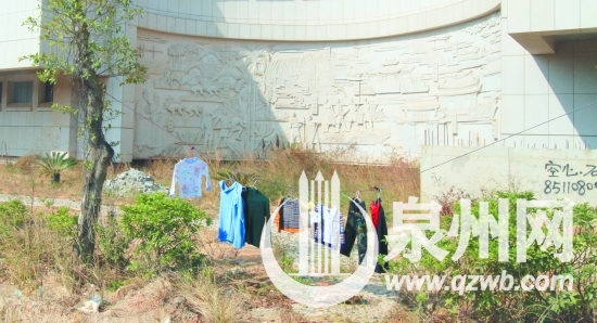 鄭成功文化中心邊，綠化樹上晾曬衣服