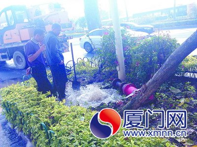 的哥為躲逆行車(chē)撞斷消防栓