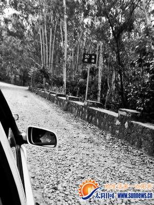 后溪主考場(chǎng)科目三考試的石子泥土路