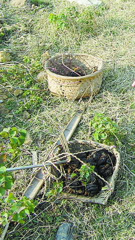 老人遺落在井邊的畚箕