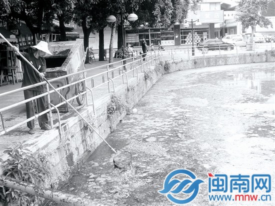 2009年，百源清池池水黑臭