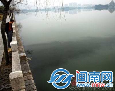 2011年，西湖遭油污污染