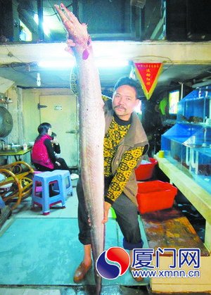 大海鰻，身長2.58米