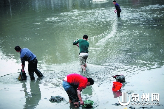 “絕戶網(wǎng)”捕魚，破壞漁業(yè)生態(tài)