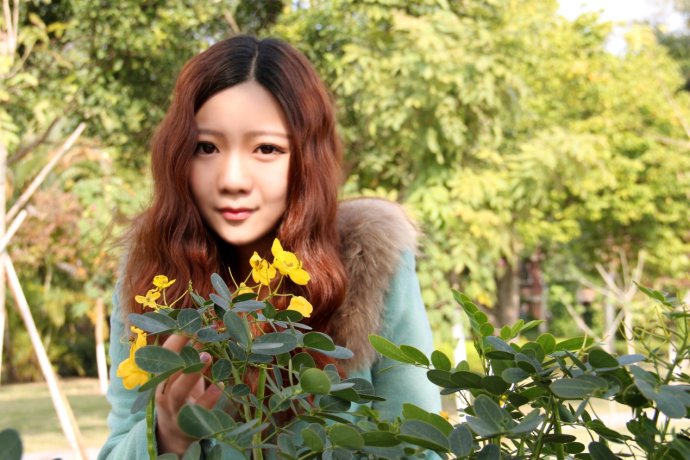 黃花槐-藝術學院-黨琦