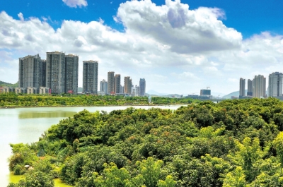 西溪兩岸郁郁蔥蔥，生機盎然