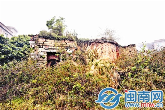 槐山村一處古窯，已經(jīng)被草叢包圍