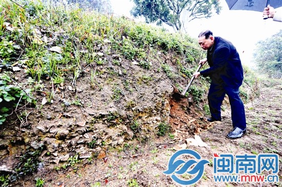 在田埂上，隨便一挖可見瓷片堆積