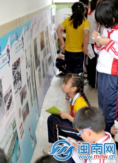小記者認(rèn)真記下展板上的知識