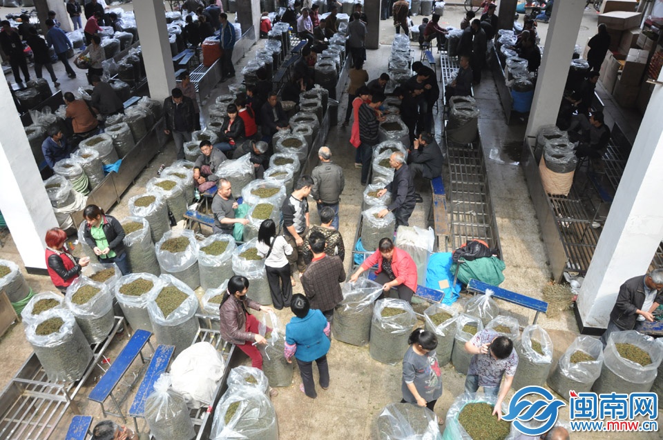 已接近中午時分，交易大廳仍有許多茶農等待交易 副本