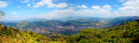 美麗迷人的茶鄉(xiāng)風(fēng)光