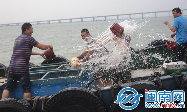 蚶江海上潑水節(jié)，千人歡樂大戰(zhàn)