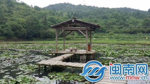 泉州洛江區(qū)的九品香水蓮花生態(tài)農(nóng)業(yè)園區(qū)