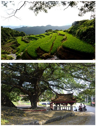 QQ圖片20140704101732