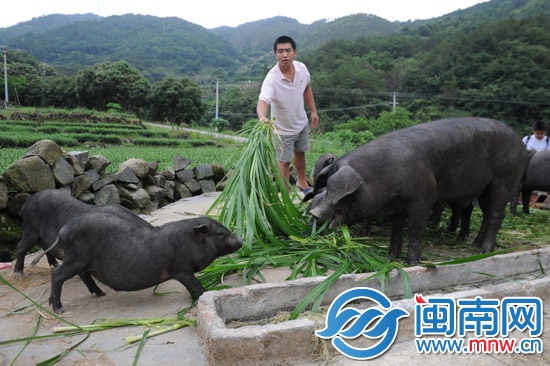 義賣助學(xué) 一個(gè)說到做到的承諾11