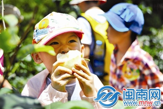 剛摘下來(lái)的梨子，忍不住先咬一口