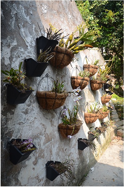 QQ圖片20140718151214