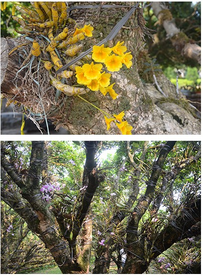 QQ圖片20140718151248