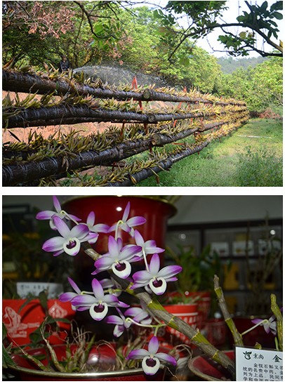 QQ圖片20140718151303